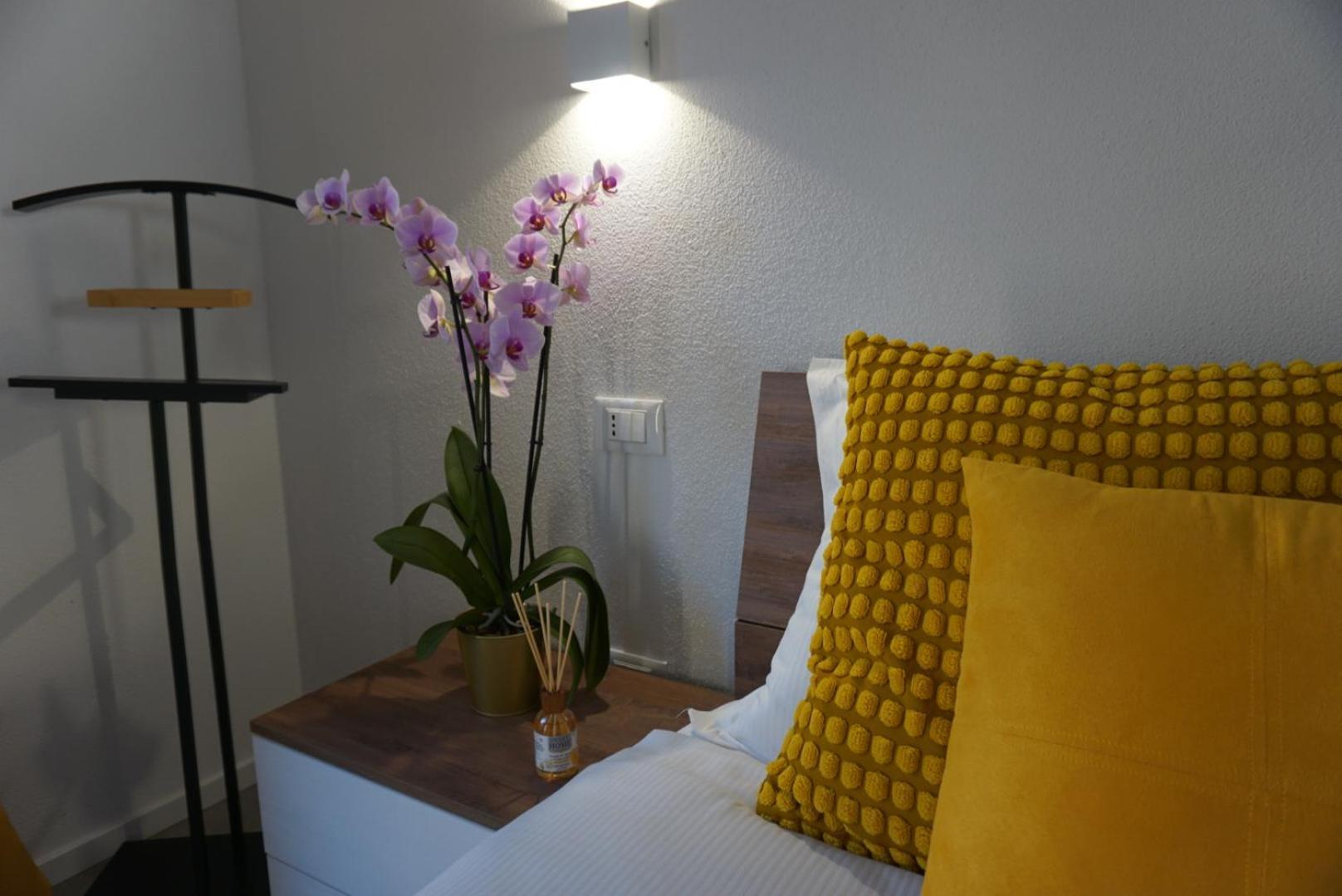 Elisa Apartments B - In Front Of The Walls Of Lucca Ngoại thất bức ảnh